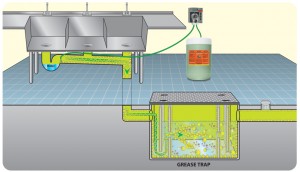 Using one of Brodi best grease trap treatments with automated dispensing system to eliminate FOGs as ongoing applications.