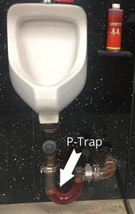 Urinal P-Trap