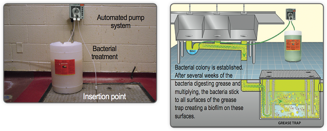 Grease Trap FAQs  DAR PRO Solutions