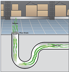 Stop Drain P Traps From Drying Out And Eliminate Sewer Gas Odors