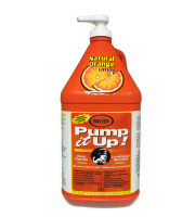 Pump It Up Orange