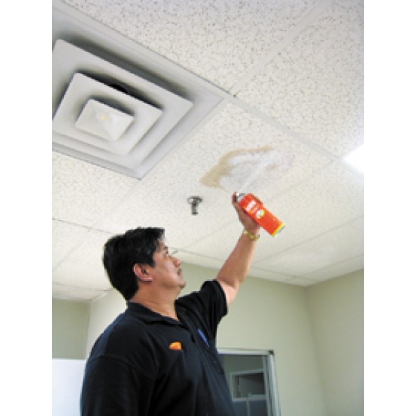 Renew Acoustical Ceiling Tile Rer, How To Paint Over Water Stains On Ceiling Tiles
